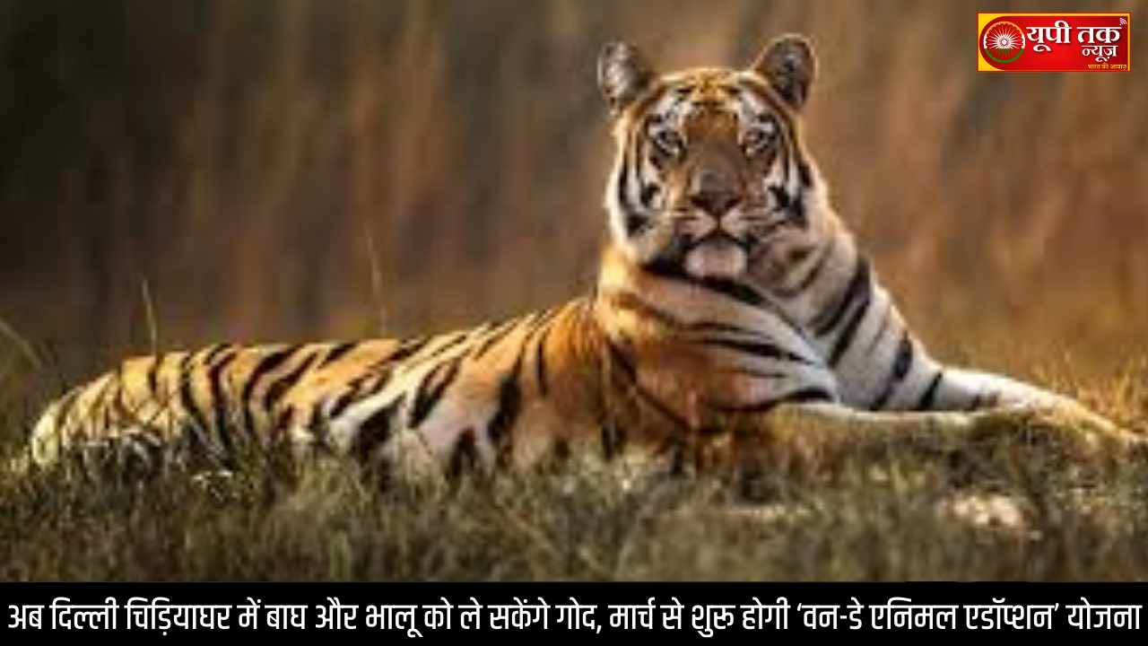 Home 16 delhi-zoo-one-day-animal-adoption-scheme-tiger-adoption-fee-50000-2026